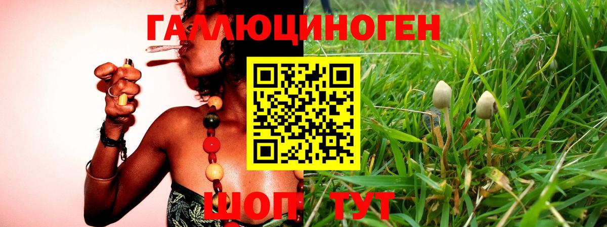 Галлюциногенные грибы Magic Shrooms Сыктывкар