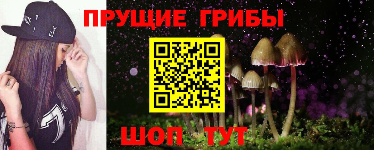 Сыктывкар  Галлюциногенные грибы Psilocybe  Вход с VPN 